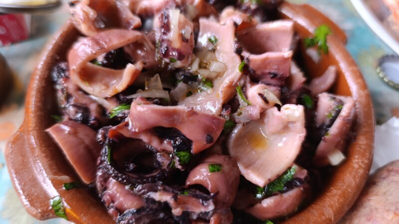 Salada de Polvo Fresca