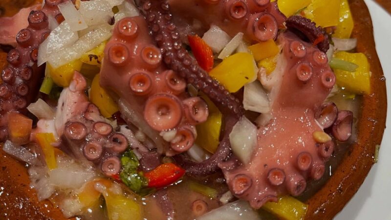 Polvo ao Vinagrete – Frescura e Sabor do Mar