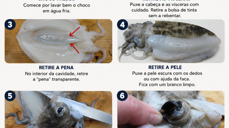 Como amanhar um Choco sem confusão