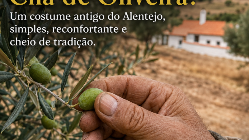 Porque tanta gente ainda bebe Chá de Oliveira